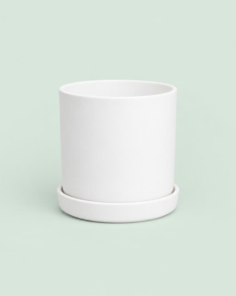 Ivory Ceramic Planter